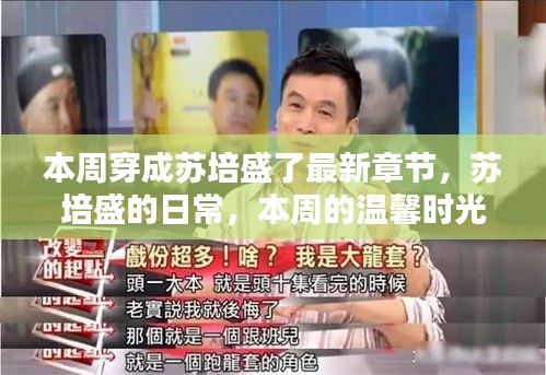 本周蘇培盛的日常，溫馨時光與友情紐帶最新章節(jié)發(fā)布
