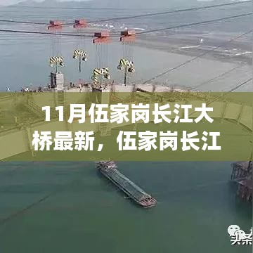 伍家崗長江大橋最新評測，特性、使用體驗與目標用戶分析揭秘