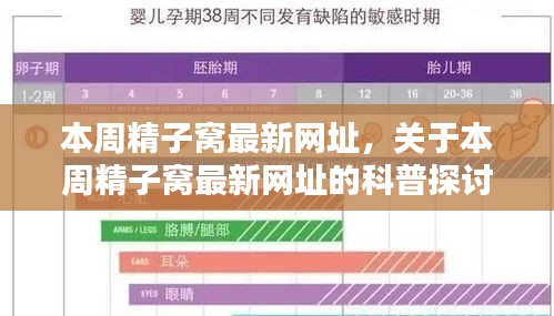 本周精子窩最新網(wǎng)址科普探討，涉及違法犯罪問題
