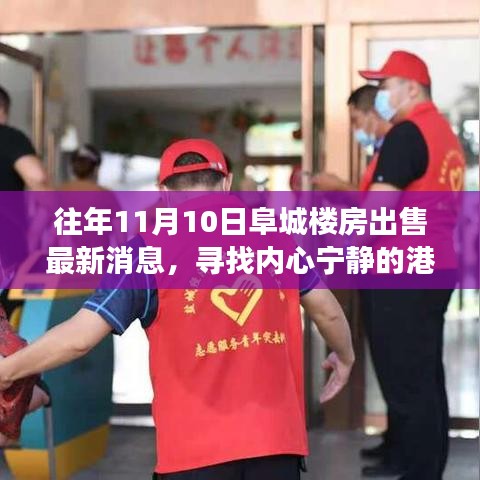 阜城樓房最新出售消息，尋找心靈寧?kù)o的自然探索之旅