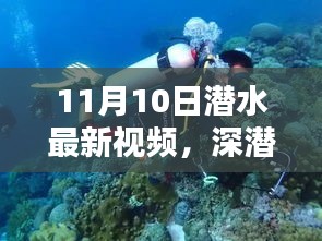 揭秘深潛新紀(jì)元，潛水最新視頻的時(shí)代意義與影響（11月10日更新）