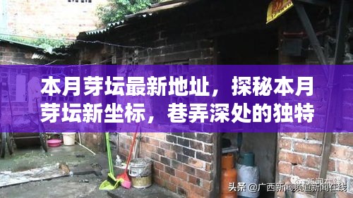 探秘本月芽壇新坐標(biāo)，巷弄深處的獨(dú)特小店最新地址揭秘