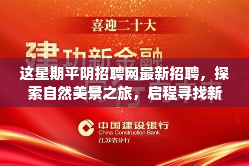 平陰招聘網(wǎng)更新，探索自然美景與尋找新工作的和諧之旅