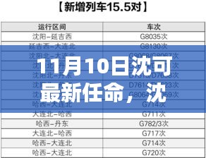 沈可新任命的背后，背景、影響與時代地位分析（最新更新）