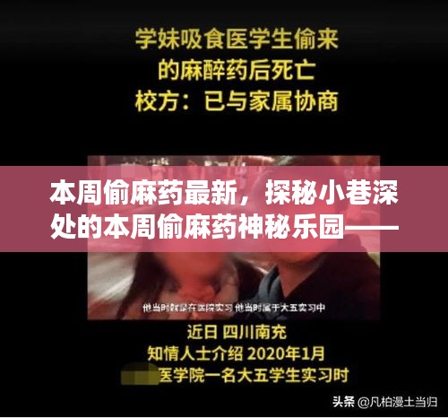 探秘隱藏版特色小店，本周偷麻藥神秘樂園的獨(dú)特魅力