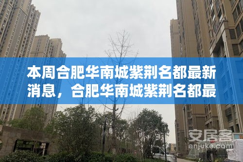 合肥華南城紫荊名都最新動態(tài)速遞，掌握最新消息的步驟指南