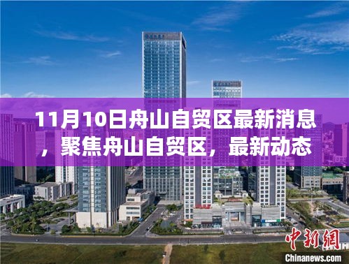 11月10日舟山自貿區(qū)最新動態(tài)解讀與深度探討