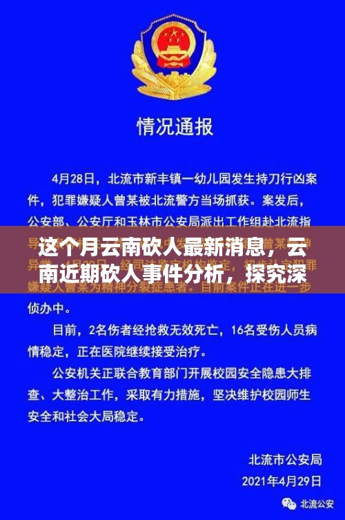云南砍人事件最新消息，深層原因探究與各方觀點(diǎn)分析