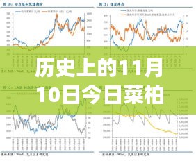 歷史上的11月10日，菜柏價(jià)格背后的勵(lì)志故事與最新行情，自信成就感的源泉