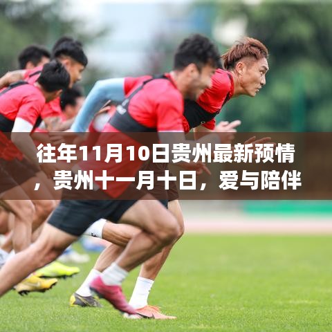 貴州十一月十日，愛與陪伴的溫馨故事揭曉