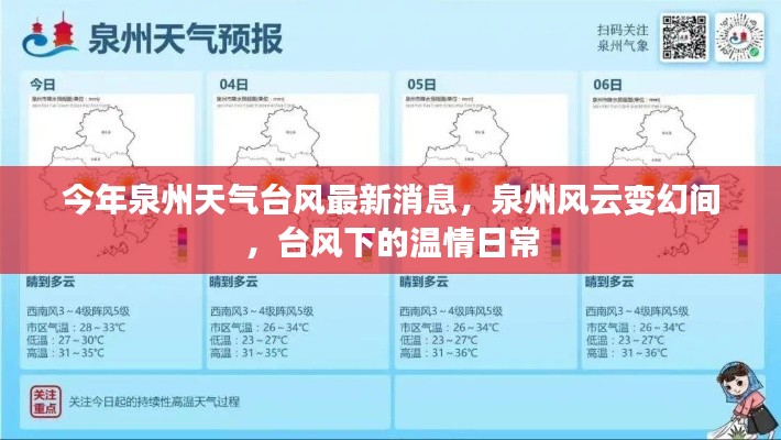 泉州臺風最新消息，風云變幻中的溫情日常