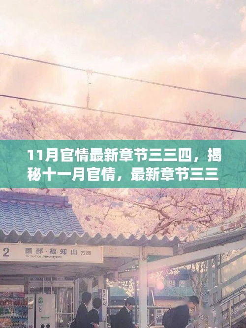 揭秘十一月官情最新章節(jié)三三四，深度解讀與要點詳解