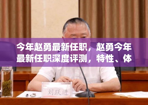 趙勇最新任職深度解析，特性、體驗(yàn)、競(jìng)品對(duì)比及用戶群體全面剖析