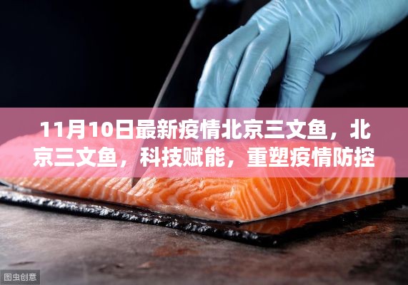 北京三文魚疫情防控新篇章，科技賦能重塑防線與前沿體驗(yàn)解讀