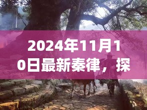 探秘秦律秘境，隱藏版特色小店的非凡故事（最新秦律揭秘）