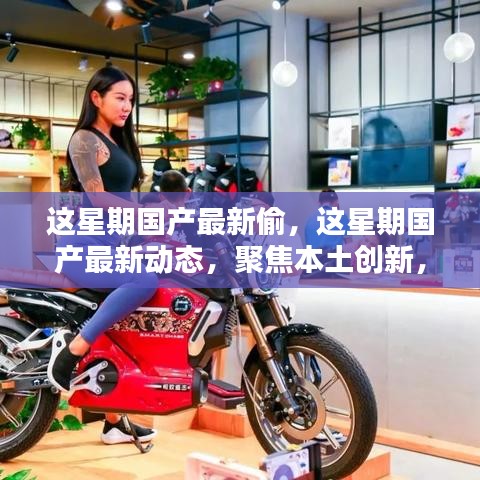 本周國產(chǎn)最新動態(tài)聚焦，本土創(chuàng)新動態(tài)與產(chǎn)業(yè)新動向的洞悉