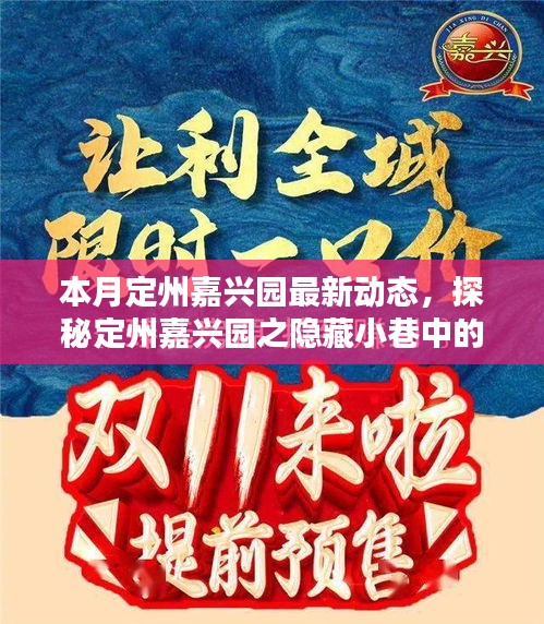 本月定州嘉興園最新動態(tài)，探秘隱藏小巷的獨特風(fēng)味——新鮮打卡指南