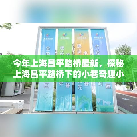 探秘上海昌平路橋下的小巷奇趣小店，最新隱藏版美味與獨(dú)特風(fēng)情揭秘