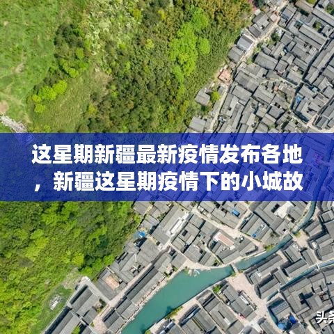 政策法規(guī) 第202頁