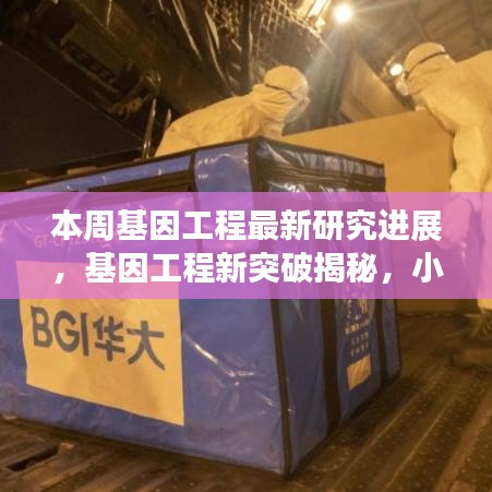 基因工程新突破揭秘，小巷深處的未來科技實驗室本周最新進展報道！