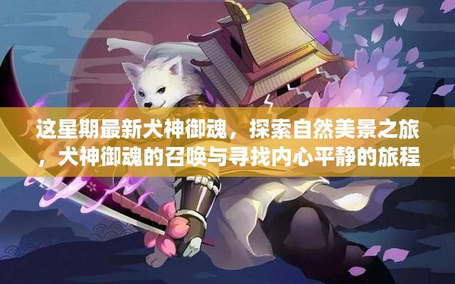 最新犬神御魂揭秘，自然美景之旅與尋找內(nèi)心平靜的探險之旅
