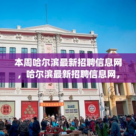 時代脈搏下的招聘風(fēng)向標(biāo)，本周哈爾濱最新招聘信息網(wǎng)匯總
