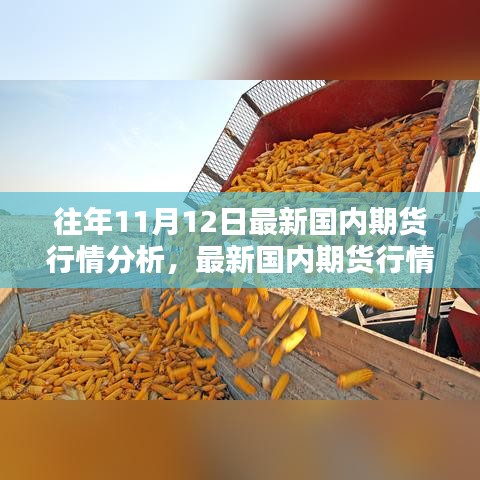 最新國內(nèi)期貨行情分析指南，針對初學(xué)者與進(jìn)階用戶的期貨行情步驟解析（往年11月12日版）