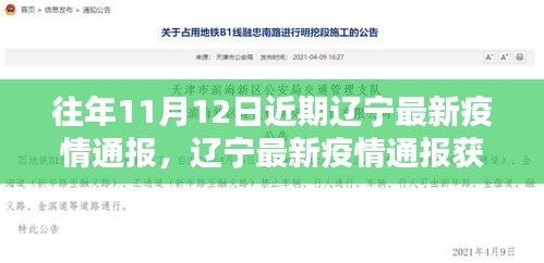 遼寧最新疫情通報獲取指南，輕松掌握每日疫情動態(tài)動態(tài)更新