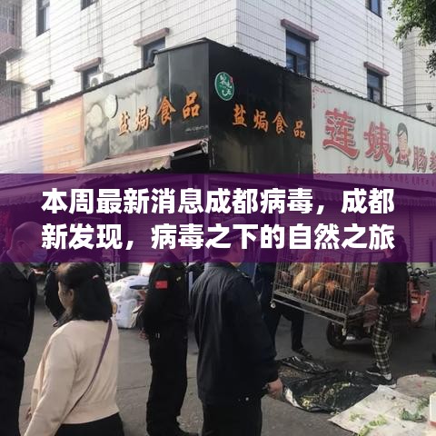成都病毒新發(fā)現(xiàn)，自然之旅中的心靈港灣探尋