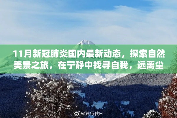 11月新冠肺炎國(guó)內(nèi)最新動(dòng)態(tài)，探索自然美景，寧?kù)o中找尋自我，迎接抗疫新篇章的旅行體驗(yàn)