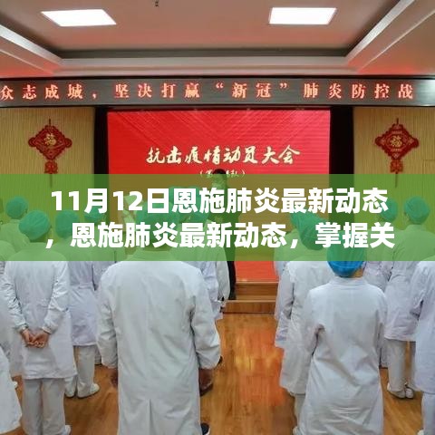 11月12日恩施肺炎最新動態(tài)更新，掌握關鍵信息的步驟指南