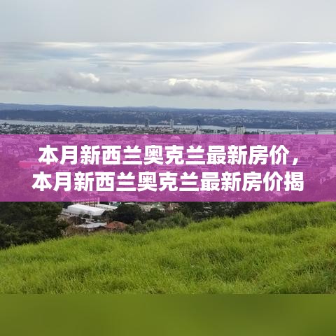 新西蘭奧克蘭最新房價揭秘，投資與居住的新熱點(diǎn)本月動態(tài)分析