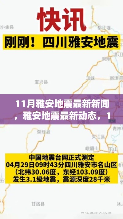 雅安地震最新動態(tài)，救援進展報告及地震活動更新（11月版）