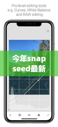 Snapseed最新版下載，回顧發(fā)展歷程，時(shí)代印記下的影響與地位