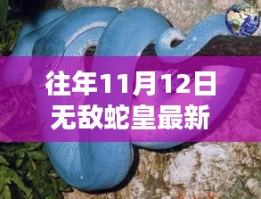 無(wú)敵蛇皇，十一月秘密與友情的溫暖日常（最新更新）