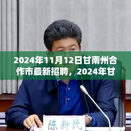 2024年甘南州合作市最新招聘盛會，職業(yè)發(fā)展的理想舞臺開啟
