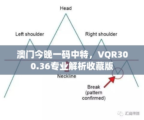 澳門今晚一碼中特，VQR300.36專業(yè)解析收藏版