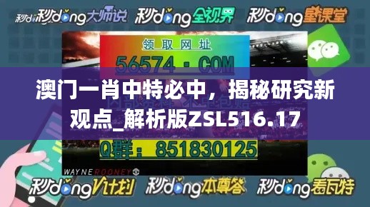 澳門一肖中特必中，揭秘研究新觀點(diǎn)_解析版ZSL516.17