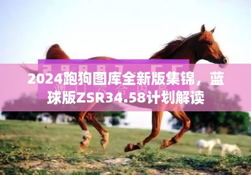 2024跑狗圖庫全新版集錦，藍(lán)球版ZSR34.58計劃解讀