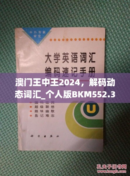 澳門王中王2024，解碼動(dòng)態(tài)詞匯_個(gè)人版BKM552.33指南