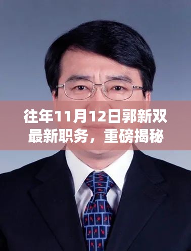 揭秘郭新雙新職務(wù)，職場之路再創(chuàng)高峰歷程揭秘！