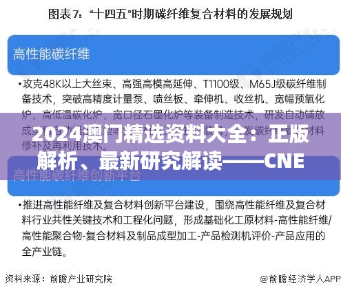 2024澳門精選資料大全：正版解析、最新研究解讀——CNE350.58可變版