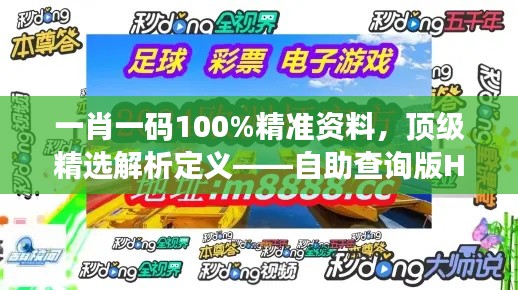 一肖一碼100%精準資料，頂級精選解析定義——自助查詢版HOU688.73