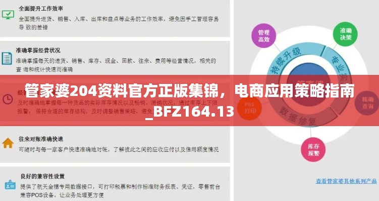 管家婆204資料官方正版集錦，電商應用策略指南_BFZ164.13