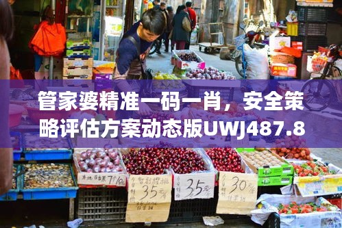 管家婆精準一碼一肖，安全策略評估方案動態(tài)版UWJ487.85