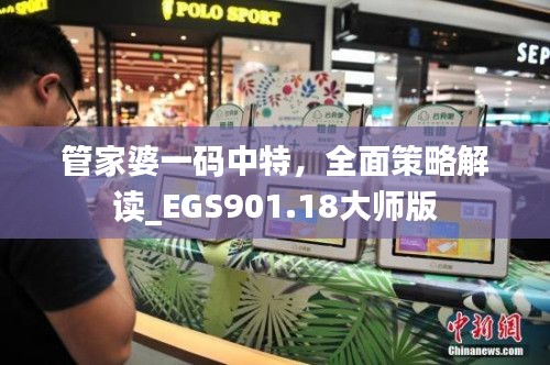 管家婆一碼中特，全面策略解讀_EGS901.18大師版