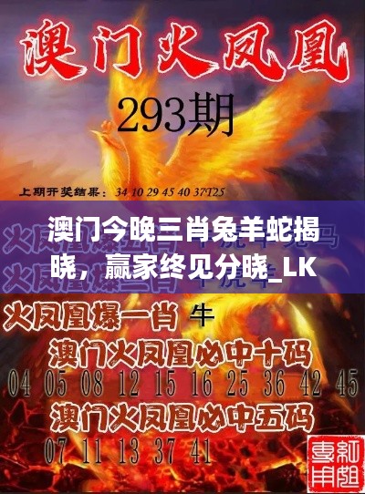 澳門今晚三肖兔羊蛇揭曉，贏家終見(jiàn)分曉_LKY656.61國(guó)際版
