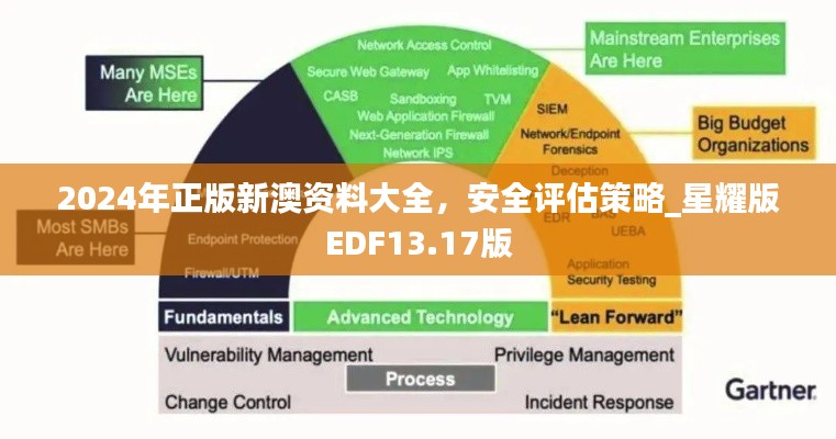2024年正版新澳資料大全，安全評估策略_星耀版EDF13.17版