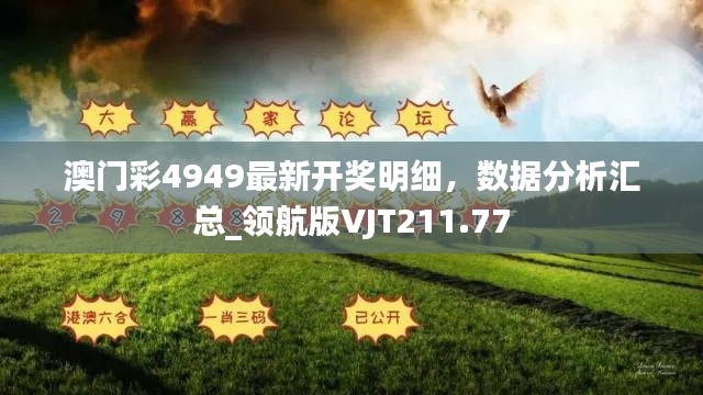 澳門彩4949最新開獎明細，數(shù)據(jù)分析匯總_領航版VJT211.77