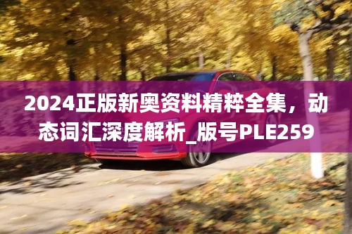2024正版新奧資料精粹全集，動(dòng)態(tài)詞匯深度解析_版號(hào)PLE259.74